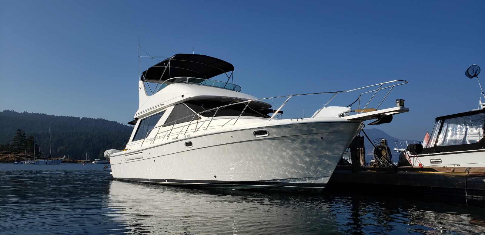 bayliner 3988 command bridge motoryacht